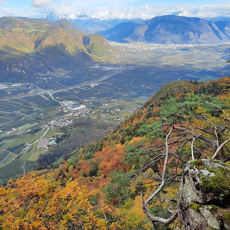 Tinnerhof Appiano Sulla Strada Del Vino Zewnętrze zdjęcie