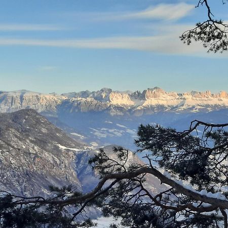Tinnerhof Appiano Sulla Strada Del Vino Zewnętrze zdjęcie