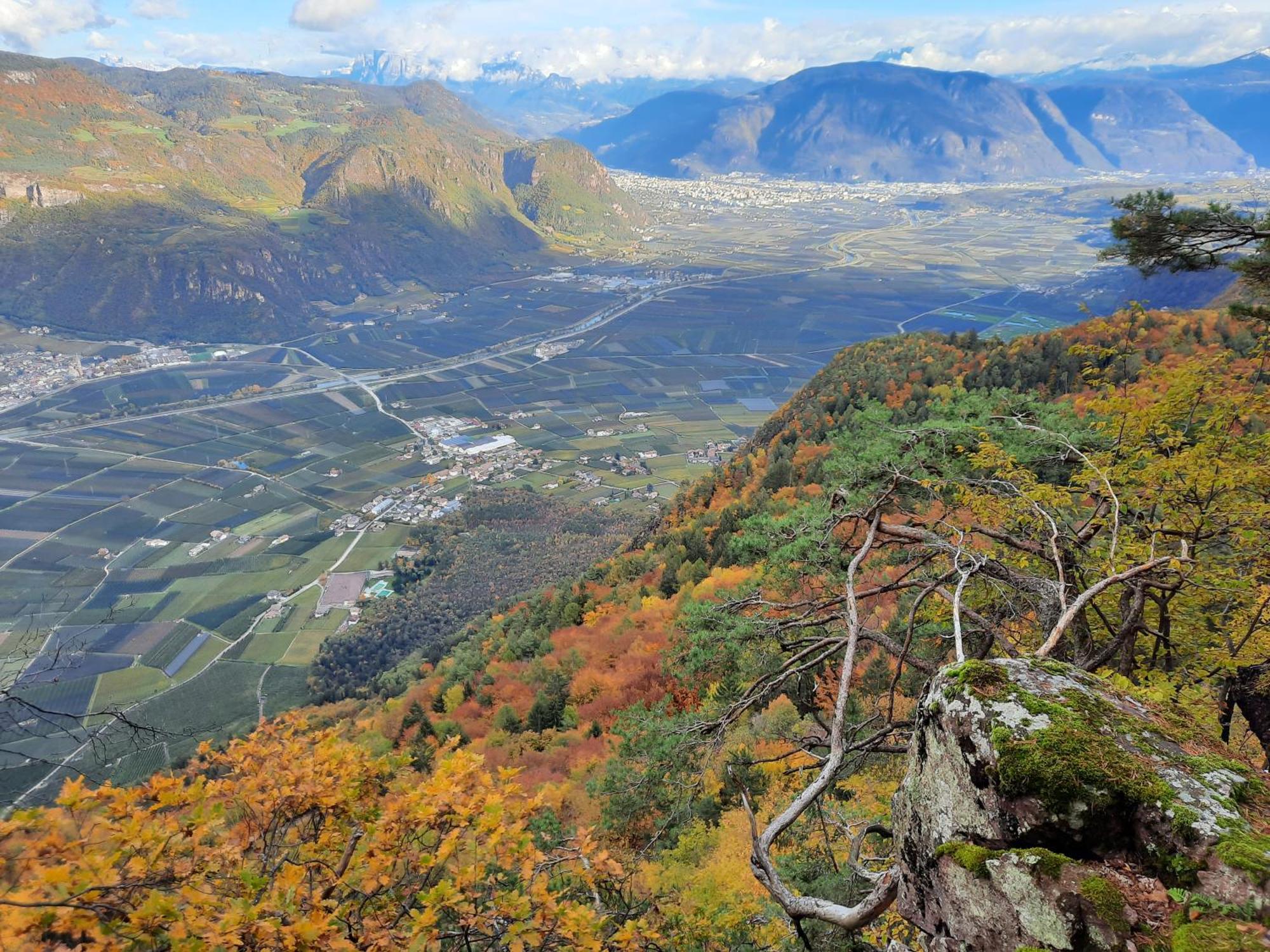 Tinnerhof Appiano Sulla Strada Del Vino Zewnętrze zdjęcie