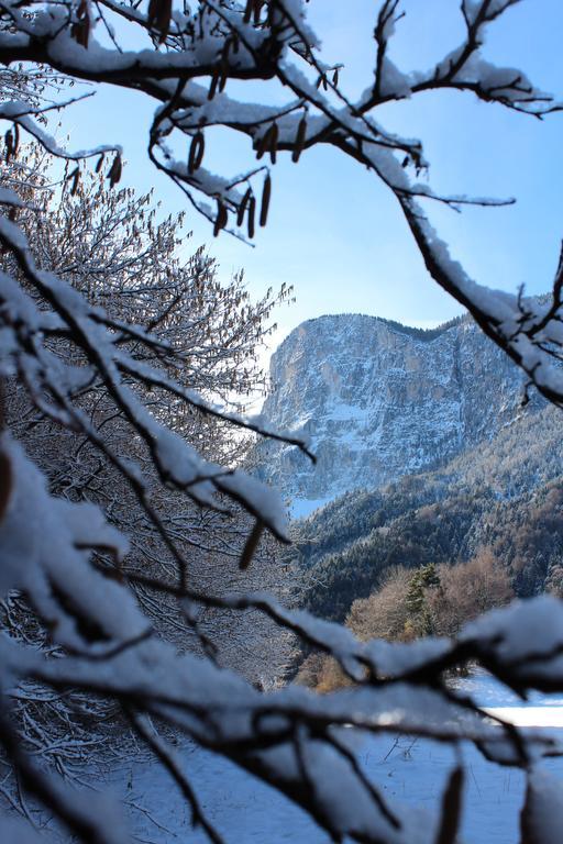 Tinnerhof Appiano Sulla Strada Del Vino Zewnętrze zdjęcie
