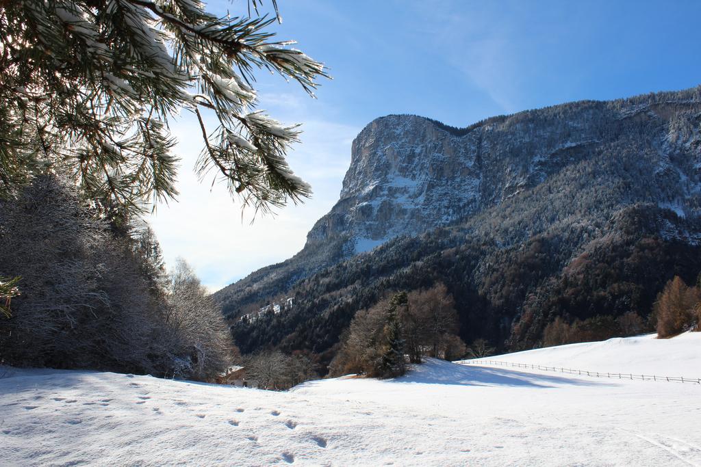 Tinnerhof Appiano Sulla Strada Del Vino Zewnętrze zdjęcie