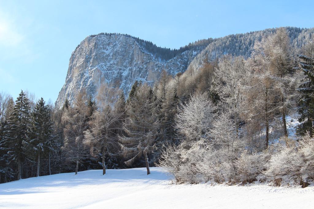 Tinnerhof Appiano Sulla Strada Del Vino Zewnętrze zdjęcie