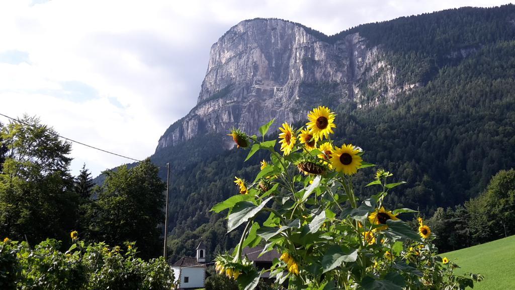 Tinnerhof Appiano Sulla Strada Del Vino Zewnętrze zdjęcie