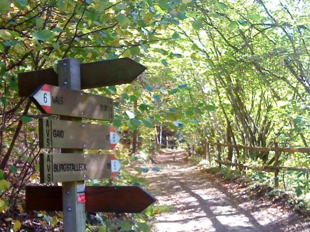 Tinnerhof Appiano Sulla Strada Del Vino Zewnętrze zdjęcie